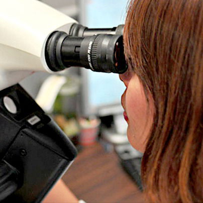 microscope